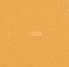 Линолеум Forbo Marmoleum Solid Piano 3622-362235 mellow yellow фото 1 | FLOORDEALER